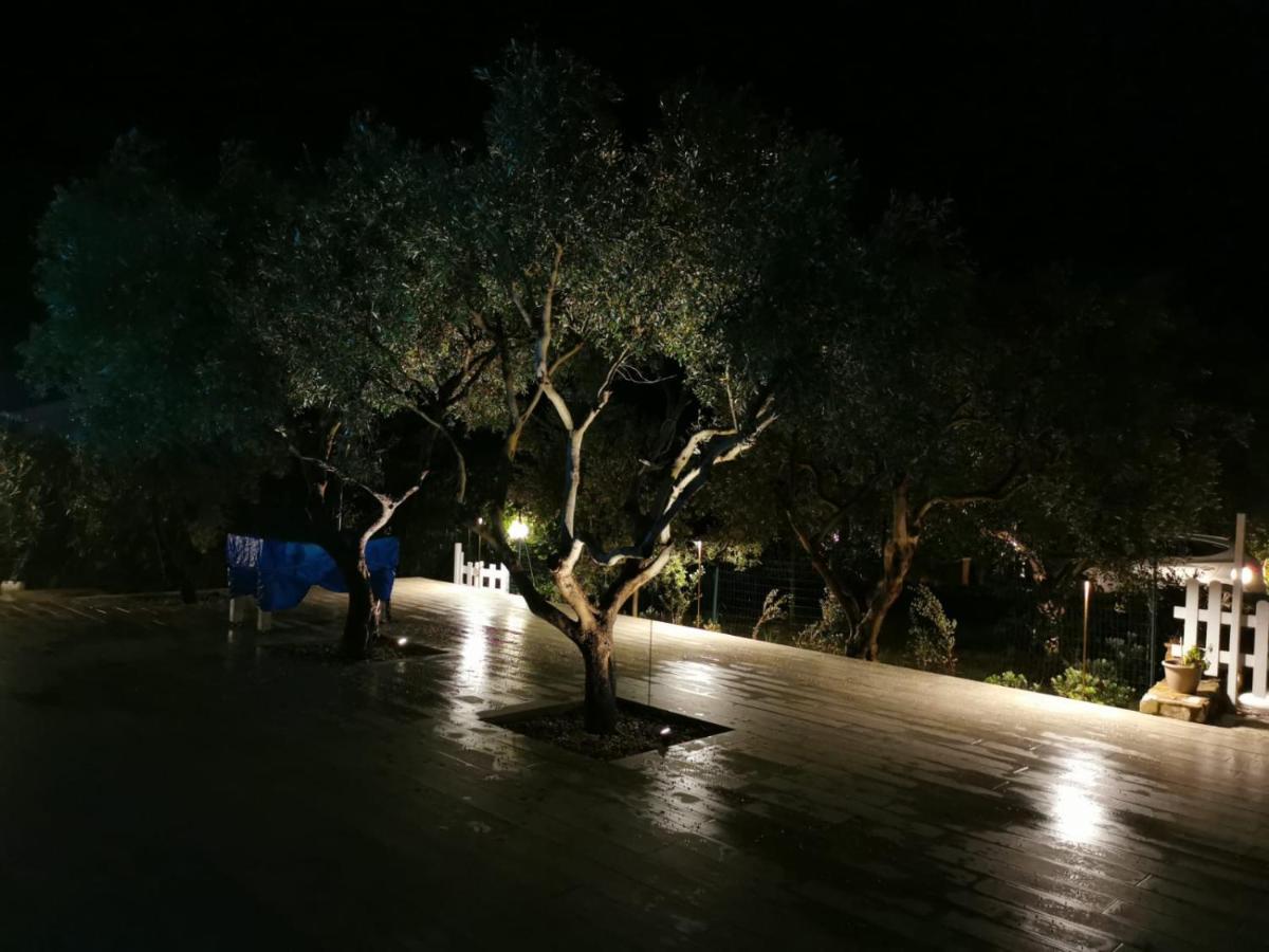 Villa Hibiscus Castellammare del Golfo Zewnętrze zdjęcie