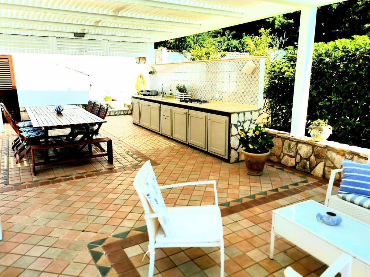 Villa Hibiscus Castellammare del Golfo Zewnętrze zdjęcie